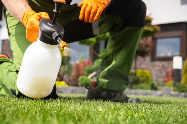 Best Cockroach Control Services  in Sellersburg, IN