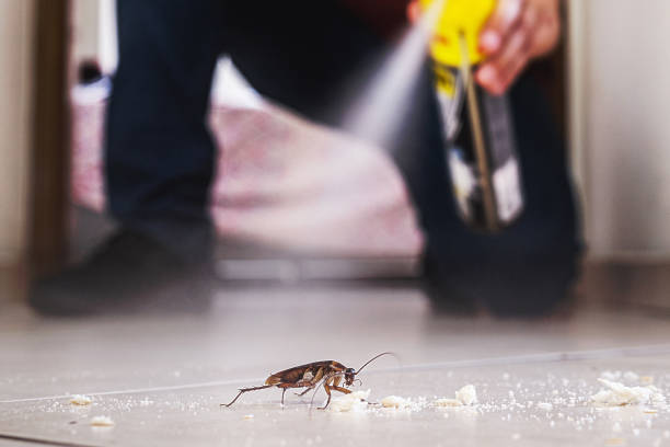 Professional Pest Control in Sellersburg, IN