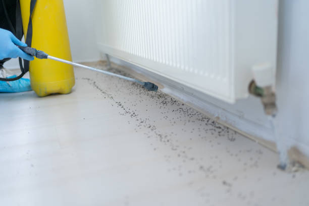 Best Wasp Removal Services  in Sellersburg, IN