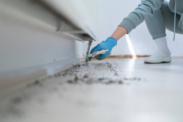 Best Wasp Removal Services  in Sellersburg, IN